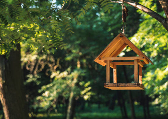 Vogelfutterhaus im privaten Garten